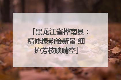 黑龙江省桦南县：精修绿韵绘新景 细护芳枝映晴空