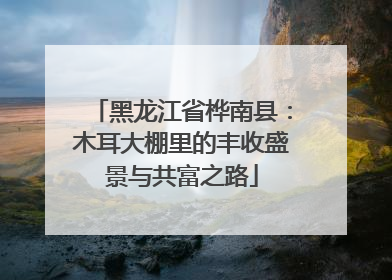 黑龙江省桦南县：木耳大棚里的丰收盛景与共富之路