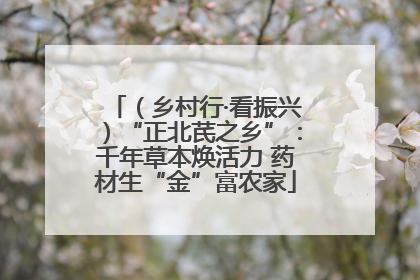 （乡村行·看振兴）“正北芪之乡”：千年草本焕活力 药材生“金”富农家