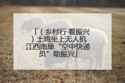 （乡村行·看振兴）土鸡坐上无人机 江西南康“空中快递员”助振兴