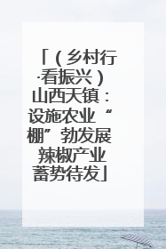 （乡村行·看振兴）山西天镇：设施农业“棚”勃发展 辣椒产业蓄势待发