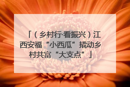 （乡村行·看振兴）江西安福“小西瓜”撬动乡村共富“大支点”