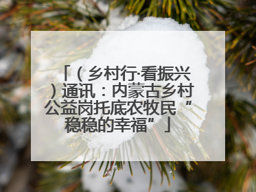 （乡村行·看振兴）通讯：内蒙古乡村公益岗托底农牧民“稳稳的幸福”