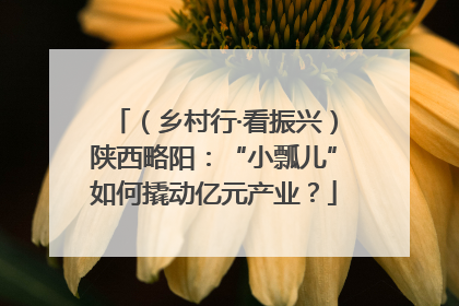 （乡村行·看振兴）陕西略阳：“小瓢儿”如何撬动亿元产业？