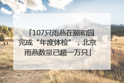 107只雨燕在颐和园完成“年度体检”，北京雨燕数量已超一万只