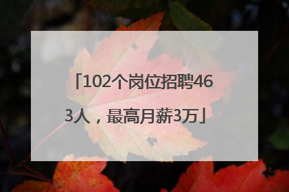 102个岗位招聘463人，最高月薪3万