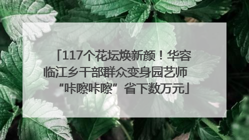 117个花坛焕新颜！华容临江乡干部群众变身园艺师 “咔嚓咔嚓”省下数万元
