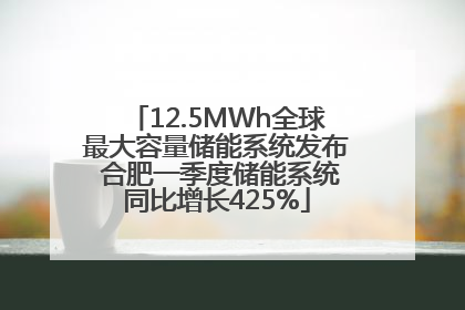 12.5MWh全球最大容量储能系统发布 合肥一季度储能系统同比增长425%