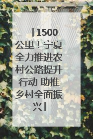 1500公里！宁夏全力推进农村公路提升行动 助推乡村全面振兴
