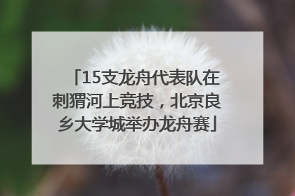 15支龙舟代表队在刺猬河上竞技，北京良乡大学城举办龙舟赛