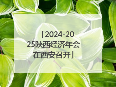2024-2025陕西经济年会在西安召开