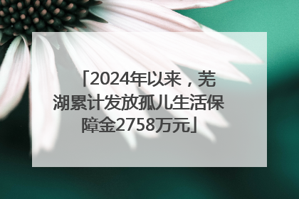 2024年以来，芜湖累计发放孤儿生活保障金2758万元