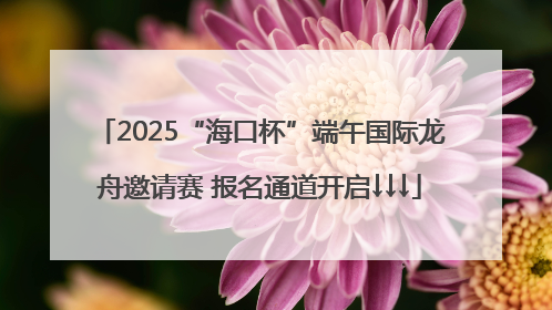 2025“海口杯”端午国际龙舟邀请赛 报名通道开启↓↓↓
