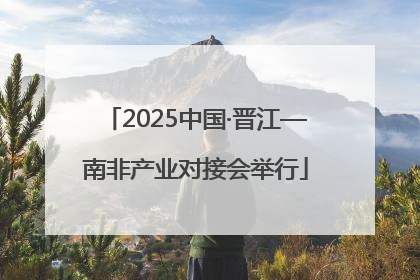 2025中国·晋江—南非产业对接会举行