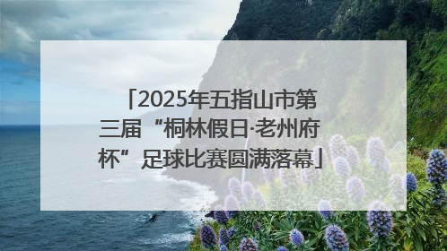 2025年五指山市第三届“桐林假日·老州府杯”足球比赛圆满落幕