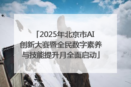 2025年北京市AI创新大赛暨全民数字素养与技能提升月全面启动