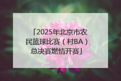 2025年北京市农民篮球比赛（村BA）总决赛燃情开赛