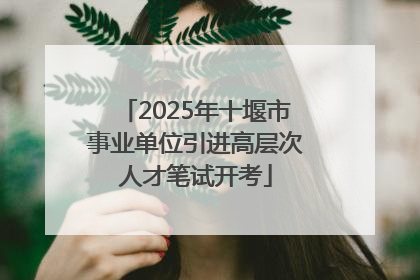 2025年十堰市事业单位引进高层次人才笔试开考