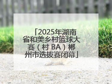 2025年湖南省和美乡村篮球大赛（村 BA）郴州市选拔赛闭幕