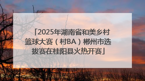 2025年湖南省和美乡村篮球大赛（村BA）郴州市选拔赛在桂阳县火热开赛