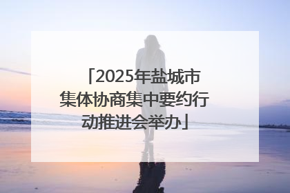 2025年盐城市集体协商集中要约行动推进会举办