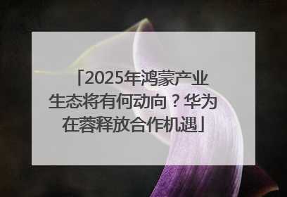 2025年鸿蒙产业生态将有何动向？华为在蓉释放合作机遇