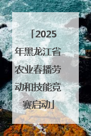 2025年黑龙江省农业春播劳动和技能竞赛启动