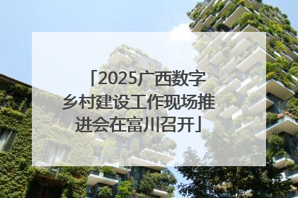2025广西数字乡村建设工作现场推进会在富川召开