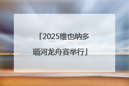 2025维也纳多瑙河龙舟赛举行