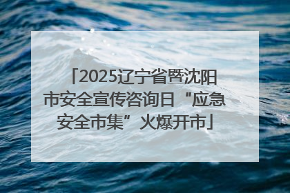 2025辽宁省暨沈阳市安全宣传咨询日“应急安全市集”火爆开市