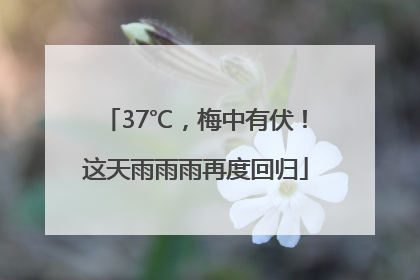 37℃，梅中有伏！这天雨雨雨再度回归