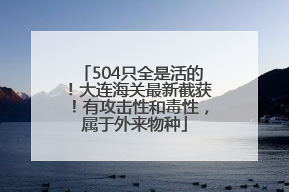 504只全是活的！大连海关最新截获！有攻击性和毒性，属于外来物种