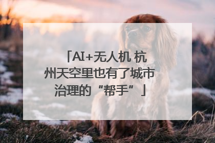 AI+无人机 杭州天空里也有了城市治理的“帮手”