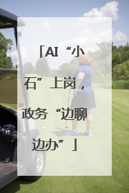 AI“小石”上岗，政务“边聊边办”