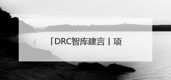 DRC智库建言丨项安波：促进科技创新和产业创新深度融合 助力发展新质生产力