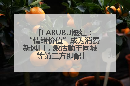 LABUBU爆红：“情绪价值”成为消费新风口，激活顺丰同城等第三方即配